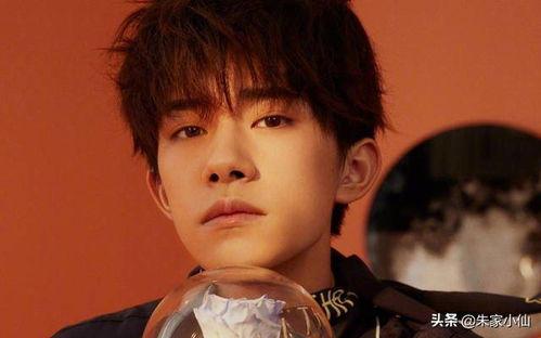 娱乐吃瓜杨洋视频全集,笑料百出，精彩瞬间大盘点