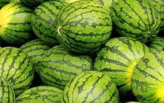 每日吃瓜大赛导航,盘点娱乐圈最新热点，带你畅游八卦海洋