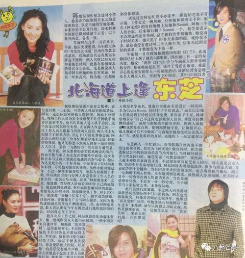 关于娱乐圈的吃瓜文案