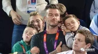 吃瓜群娱乐圈,吃瓜群揭秘幕后真相